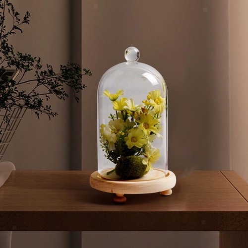 Cloche glass dome - dome, display