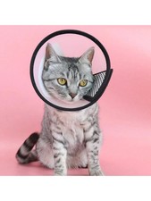 Pet Dog Cat Anti-lick