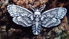 DEATH HEAD SKULL MOTH Brooch