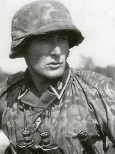 Ww2 german elite camo steel - elite,