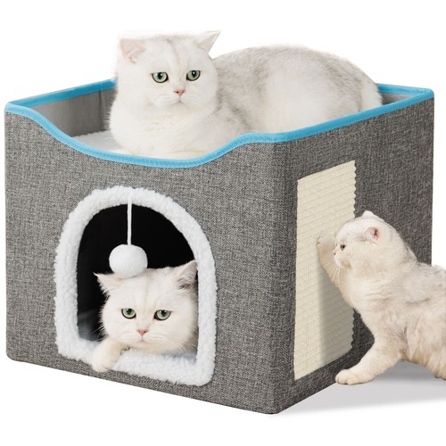 Cat bed indoor - cat, house