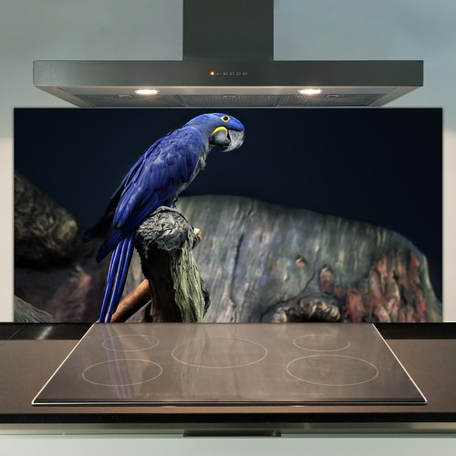 Glass kitchen splashback tile - kitchen,