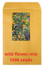  Wild Flower Seeds Mix Annual