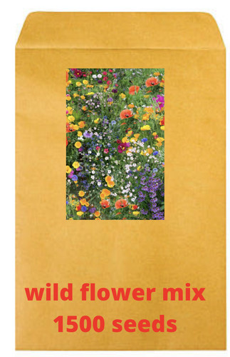Wild flower seeds mix - wild,