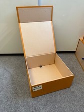 Authentic Louis Vuitton