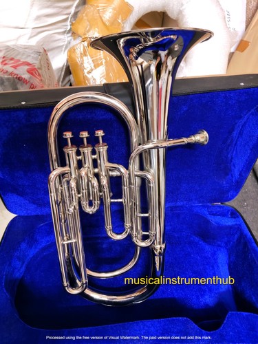 Baritone horn pure - horn, of