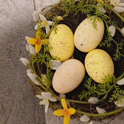Easter spring bird nest - easter,