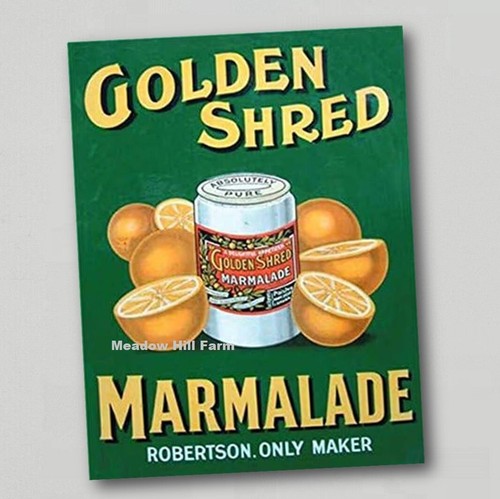 Fridge magnet golden shred - fridge,