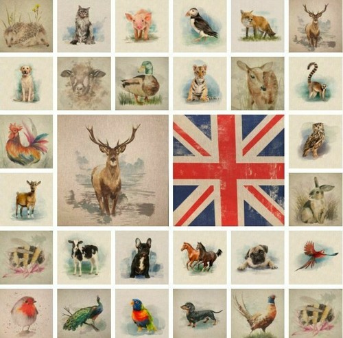 Animal country creature - animal,