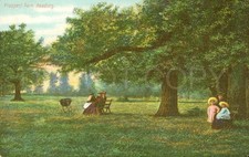 Reading Vintage Postcard