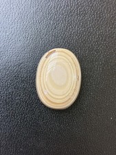 Genuine Natural Lace  eye