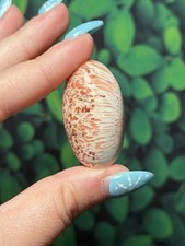 Peach Scolecite Small Shiva