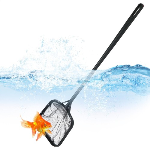 Fish tank scoop - tank,
