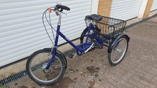 Pashley Picador Tricycle Adult