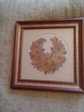 Joanna Sheen Pressed Flowers