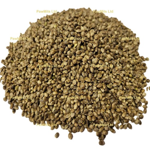 Hemp seed - hemp, 15kg)