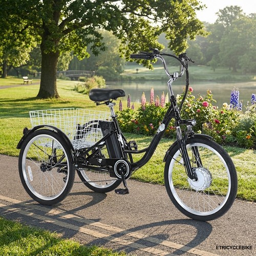 Electric trike inch adult - electric, 24