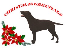 CURLY COATED RETRIEVER SINGLE