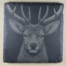 Highland Stag Male Deer