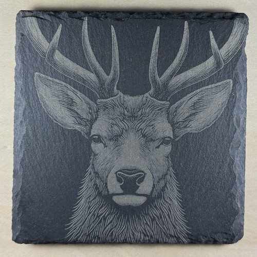 Highland stag male - highland, deer