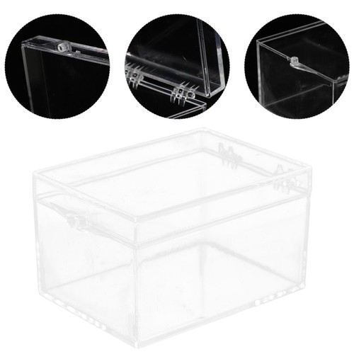 Insect specimen display case - specimen,