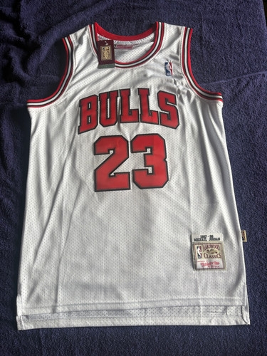 Chicago bulls nba - chicago, hardwood