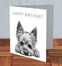 Yorkshire terrier yorkie dog - yorkshire,