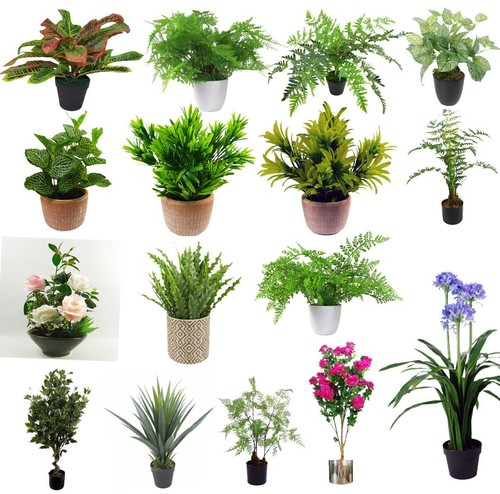 Artificial fern plants - fern, foliage