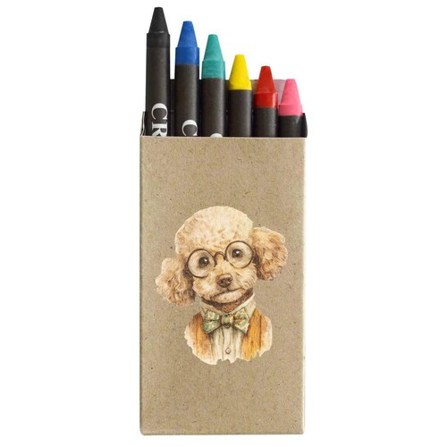 Toy poodle wearing glasses - 'toy,