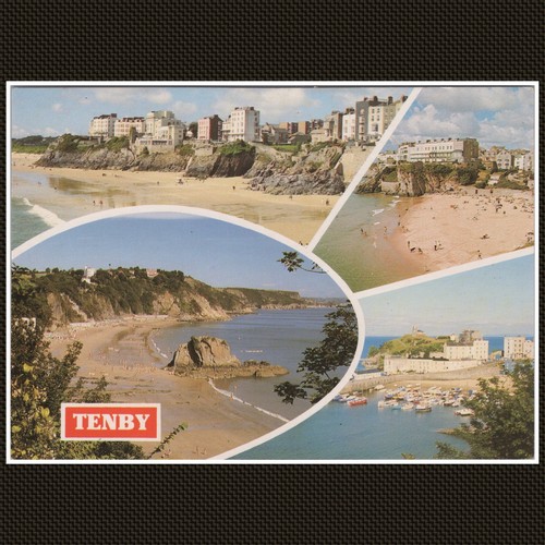 Tenby pembrokeshire coastal - tenby,