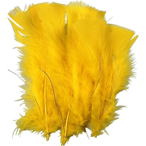 Turkey feathers craft - feathers,