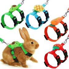 Rabbit Harness and Leash Set