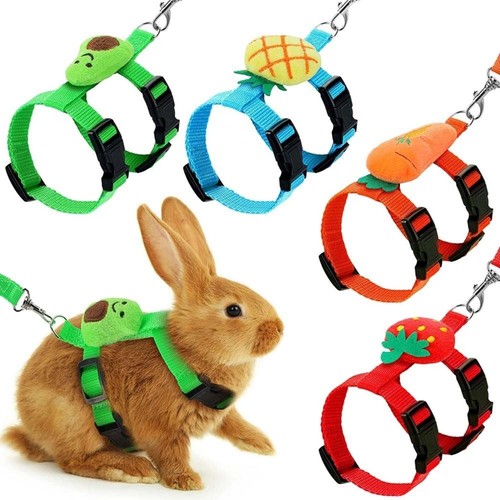 Rabbit harness and - rabbit,