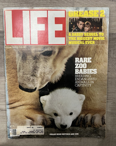 Vintage life magazine - vintage,