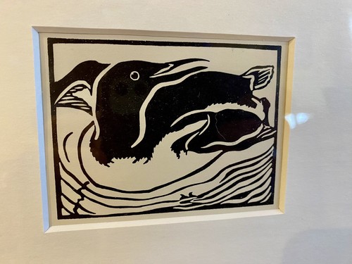 Guillemot framed - ‘guillemot’-,