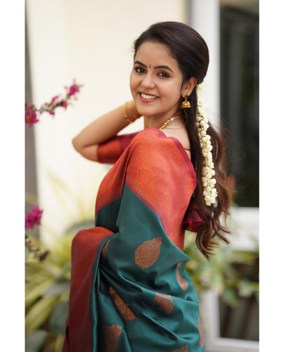 Traditional lichi silk saree - traditional,