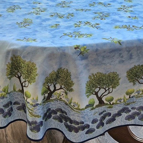 Olive trees lavender - &,