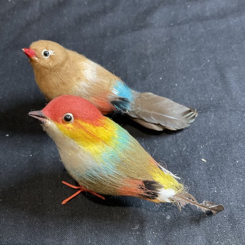 Vintage bird soft - 2, real