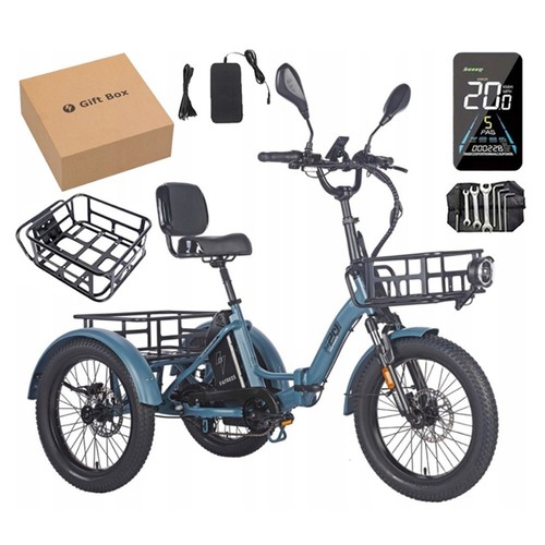 Electric tricycle for - tricycle,