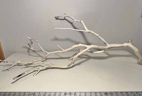 Extra large manzanita - extra,