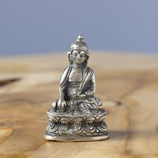 Brass Medicine Buddha Statue