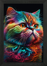 Exotic short hair cat Framed