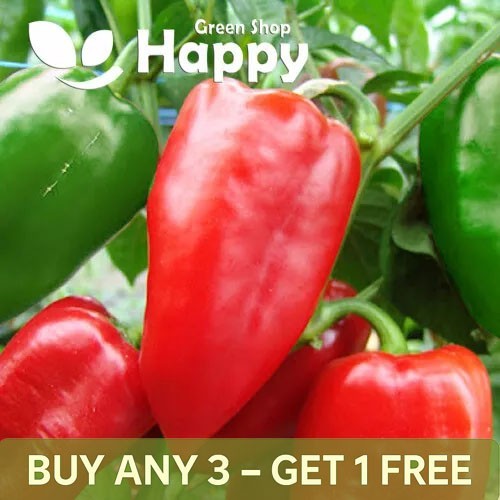 Vegetable sweet pepper - pepper,