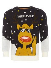 Mens Christmas Jumper Rude