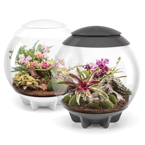 Biorb air 60l terrarium - biorb,