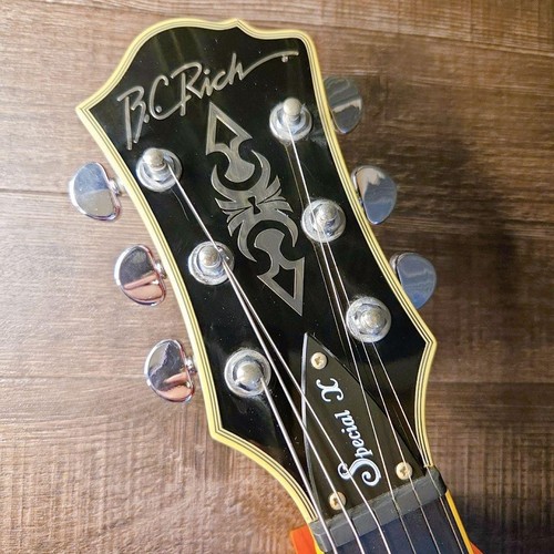 Rich mockingbird special - rich,