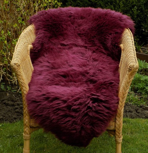 Large dusky plum 100 - large,