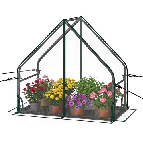 Mini green house with - green,
