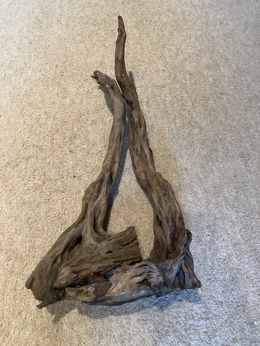 Natural aquarium drift root - natural,