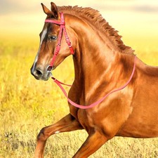 Horse Nylon Bridle Adjustable Snaffle With Reins Equestrian Show Riding